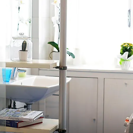 Albero Della Fortuna 토리노